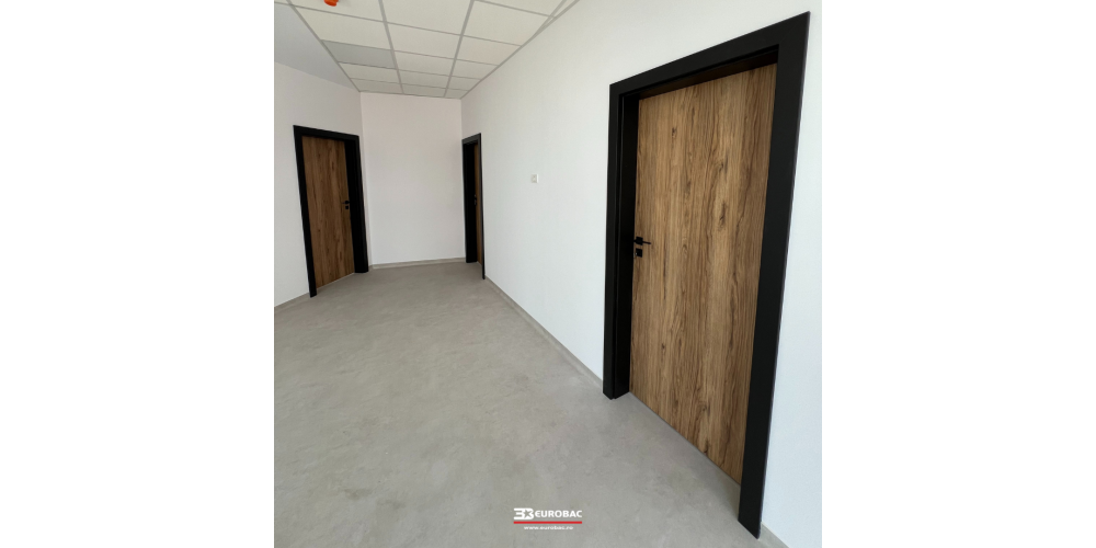 Proiect clădire de birouri