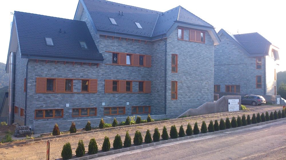 Pensiunea Art 1000 Valea Draganului alaturi pensiunea